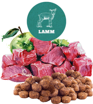 Trockenfleisch-Menü Lamm Adult 12,5 kg