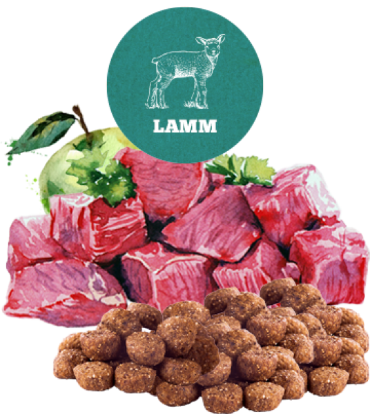 Trockenfleisch-Menü Lamm Adult 12,5 kg